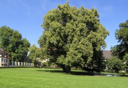 Achberg-und-Altshausen-19
