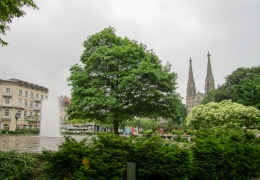 IMG_0485