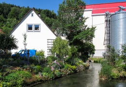 01 Buttenhausen (13)