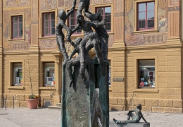 Ellwangen-8317