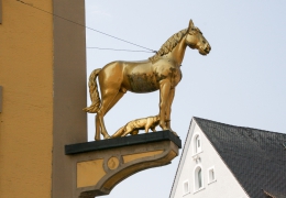 Ellwangen-8329