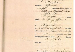 1880-Nr.-49-Kaemmerer-Franziska-Geburtsregister-Schwendi