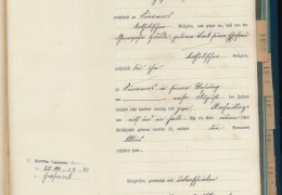 1882-Nr.-11-Geburtsregister-Fueramoos-Haeusle-Alois