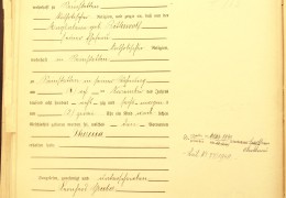 1886-Nr.-44-Gruber-Theresia-Reinstetten-Geburtsregister