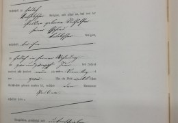 1890-Nr.-20-Haslach-Geburtsregister-Schaedler-Paulina