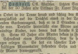 1893-08-25-Anzeiger-vom-Oberland-S.2-Jaeggle-Fr.-Xaver-Hochdorf-Unfall-2