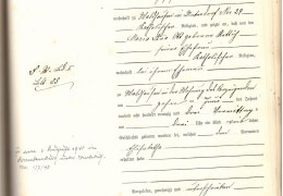 1893-Nr.-3-Geburtsregister-Waldhausen-Ott-Elisabetha