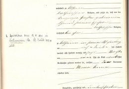 1896-Nr.-22-Geburtsregister-Altheim-Gerster-Maria-Anna