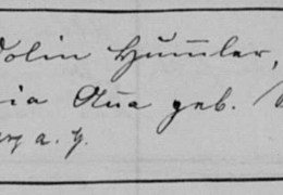 1899-Nr.-15-Auszug-aus-TR-Hailtingen