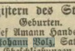 1904-02-13-Laupheimer-Verkuendiger-S.4-Volz-Anton-Geburt