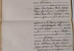 1916-Nr-5-Geburtsregister-Erlenmoos-Schmid-Elisabeth