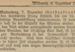1925-12-09-Anzeiger-vom-Oberland-Seite-3-Beck-Karl-Brandstiftung