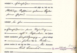 1925-Nr.-10-Rechtsteiner-Karl-Borromaeus-Geburtsregister