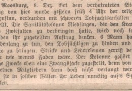 1928-12-11-Riedlinger-Zeitung-S.7-Selig-Stefan-Moosburg-religioeser-Wahnsinn-