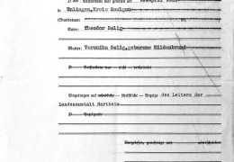 19401018-hartheim-sterbeurkunde-selig-sophie-1.jpg