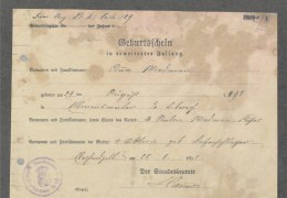 BA-Bestand-R179_29185-Seite-4-Geburtsschein-von-Anna-Wiedmann-aus-der-Patientenakte