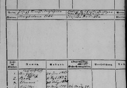 Duermentingen_5FamReg_1845_______698__F124_Stauss