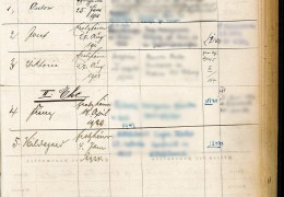 Familienregister_Erolzheim_Band2_Blatt_365_Mang_Hermann_S2-Kinder
