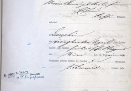 Geburtsregister-Laupheim-1876-Nr.-81-Johann-Geiss_page1_image1