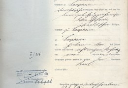 Geburtsregister-Laupheim-1882-Nr.-65-Karl-Guggenheimer_page1_image1