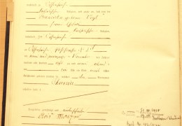 Marxer-Theresia-Geburtsregister-Ochsenhausen-1889-Nr.-74