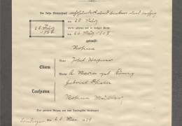 R_179_9533_0004_Auszug_Geburtsregister_Wagner_Rosina