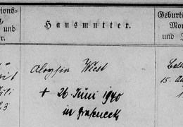 Ringschnait_5FamReg_1875_____388___F194_Brunner_Wiest_Detail
