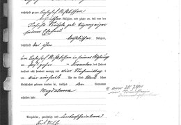 Standesamt-Achstetten-1894-Nr.-24-Stuetzle-Magdalen-Geburtsregister