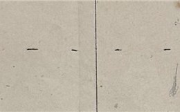 Standesamt-Friedingen-FR-Wagner-Josef-Seite-67-Kind-Rosina-Detail