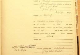 Standesamt-Reinstetten-Geburtsregister-1893-Nr.-31-Habrik-Alois