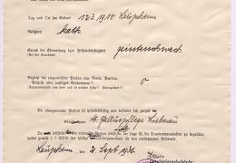 hoch-sophie-1918-krankenakte-003