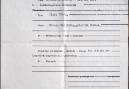 moenig-villing-kreszentia-1894-1940-sterbeurkunde-grafeneck-web