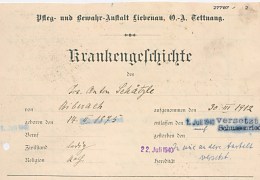 schaetzle-josef-anton-1875-krankenakte-003_Detail