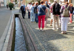 IMG_0043-Freiburg
