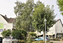 Gedenkfahrt-2019-11