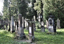 Gedenkfahrt-2019-29