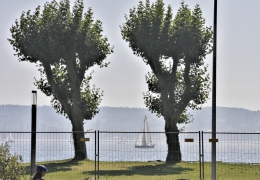 Gedenkfahrt-2019-33