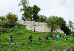 Geologie Donautal-13