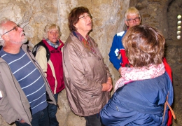 Geologie Donautal-19