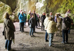 Geologie Donautal-30