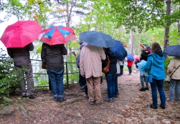 Geologie Donautal-33