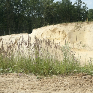 03 Eggingen  (2)