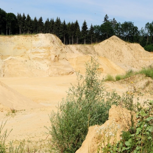 03 Eggingen  (5)