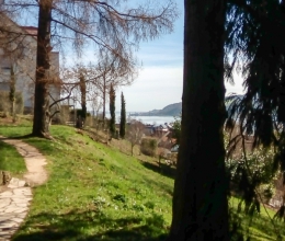 Hesse_Dix-27