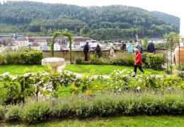 IMG_4581-Horb-Weißer-Garten