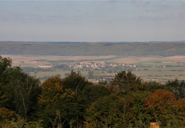01 Bussen (15)