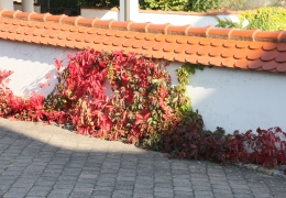 02 Kanzach (4)