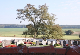 02 Kanzach (6)