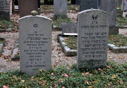 03 Laupheim (12)