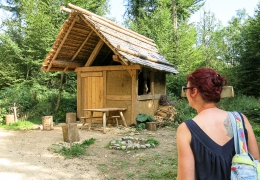 Messkirch (63)